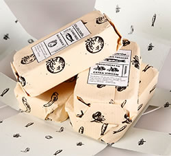 SARDINHAS沙丁鱼罐头纸质包装盒设计