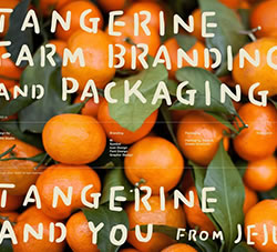 AURG品牌农场食品水果包装设计